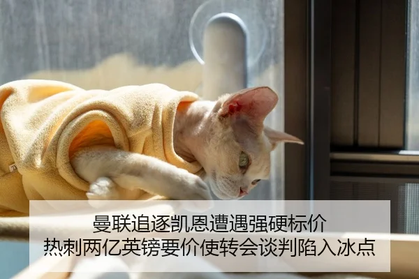 曼联追逐凯恩遭遇强硬标价 热刺两亿英镑要价使转会谈判陷入冰点