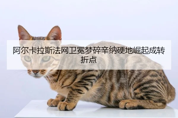 a-er-ka-la-si-fa-wang-wei-mian-meng-sui-xin-na-ying-di-jue-qi-cheng-zhuan-zhe-dian-2-773.jpg