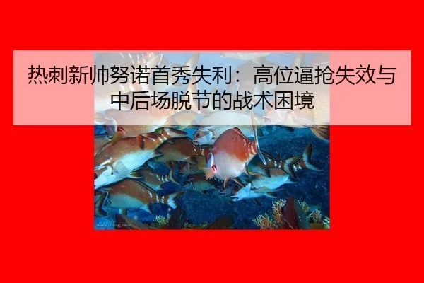 re-ci-xin-shuai-nu-nuo-shou-xiu-shi-li-gao-wei-bi-qiang-shi-xiao-yu-zhong-hou-chang-tuo-jie-de-zhan-shu-kun-jing-2-543.jpg